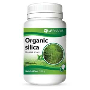 Organic silica