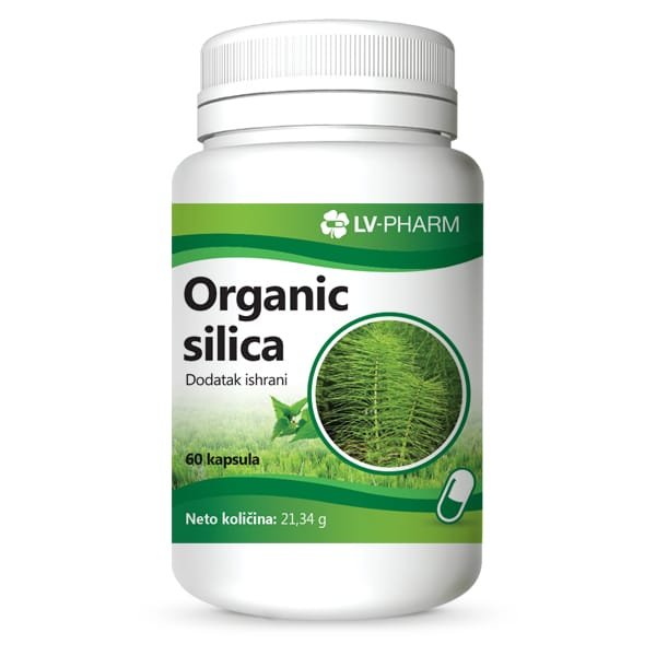 Organic silica